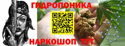 2c-b Гусев