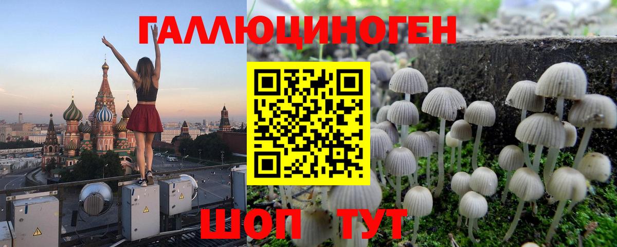 Псилоцибиновые грибы Magic Shrooms  Вход с VPN  Тверь 
