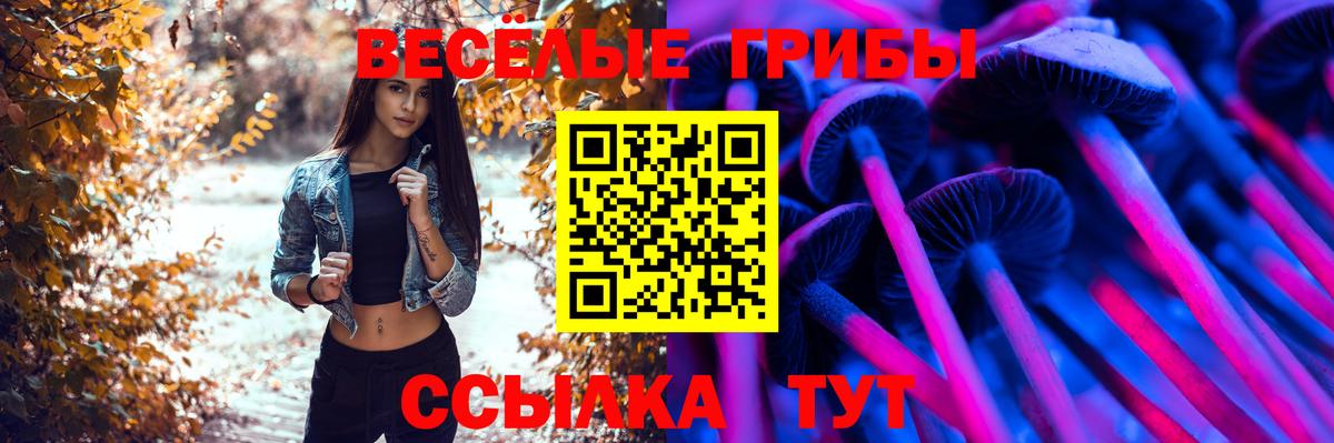 Галлюциногенные грибы GOLDEN TEACHER Тверь