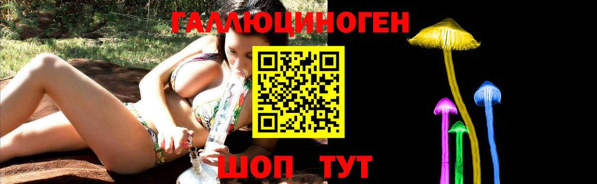 Галлюциногенные грибы мицелий  Тверь  Псилоцибиновые грибы прущие грибы 